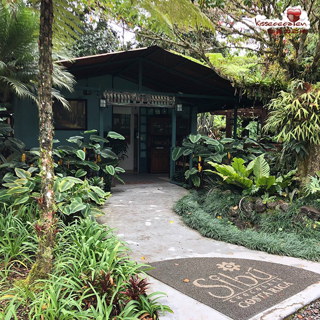 哥斯达黎加 Sibo 西布巧克力店 哥斯达黎加 Sibo 西布巧克力店6